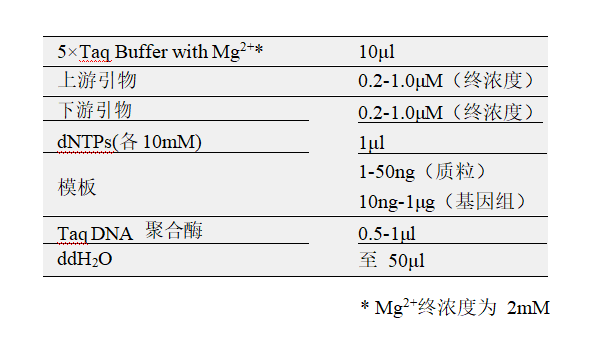 常用反應(yīng)體系（50μl）