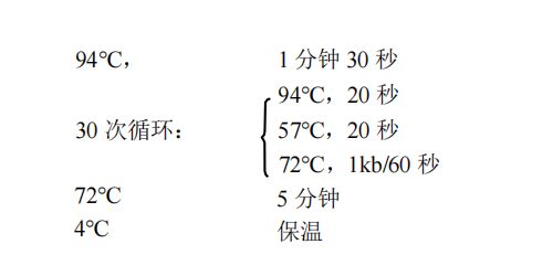 1st Strand cDNA Synthesis Kit(gDNA Purge)常用PCR 循環(huán)