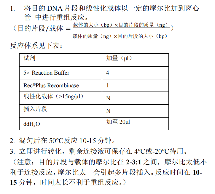 目的片段與載體的重組