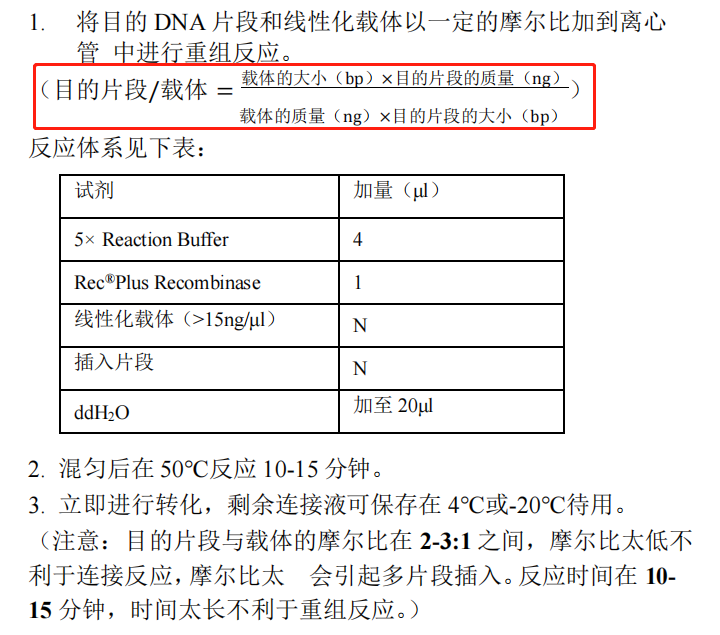 B 目的片段與載體的重組