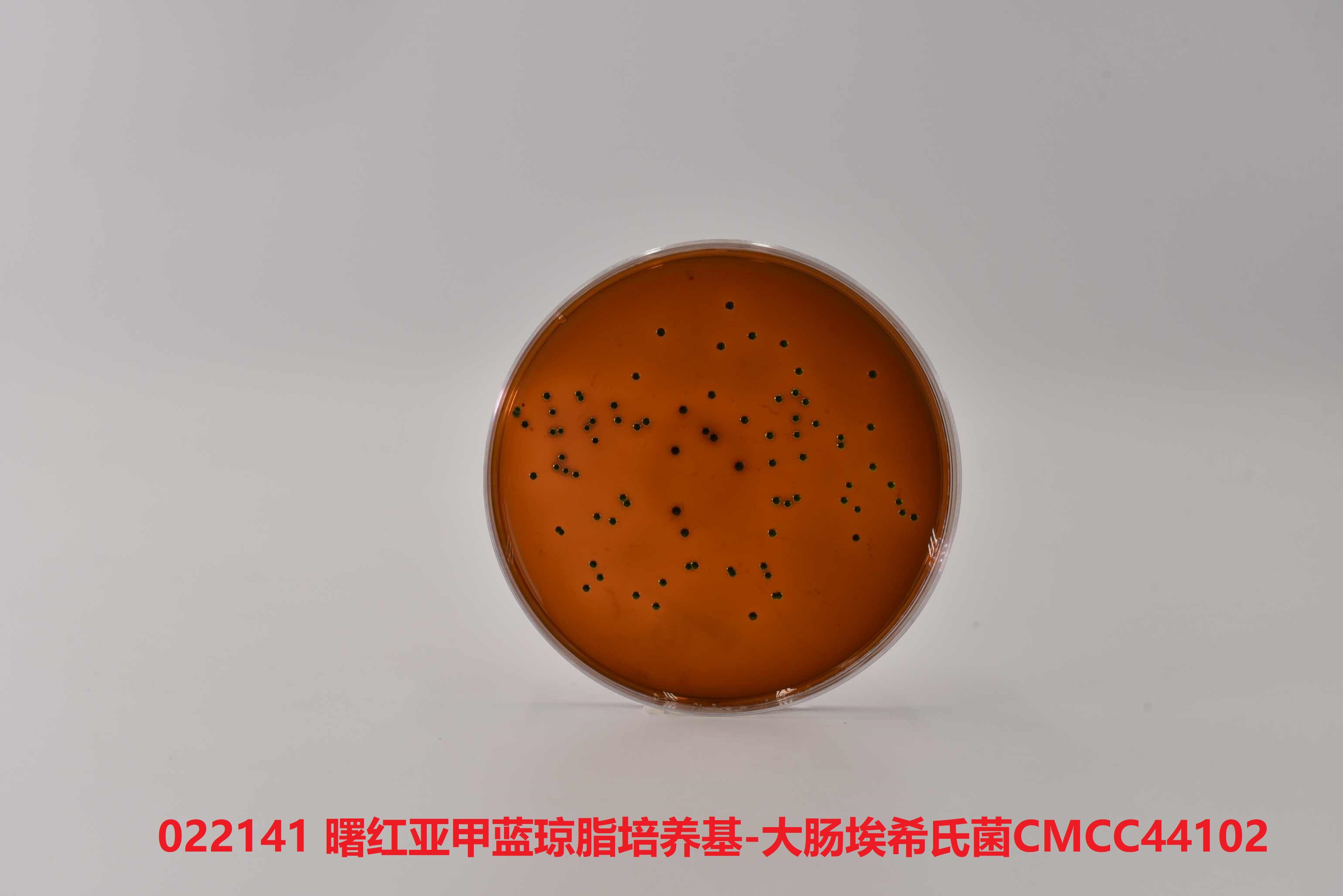 曙紅亞甲藍瓊脂培養(yǎng)基(EMB)測試大腸埃希氏菌CMCC(B)44102