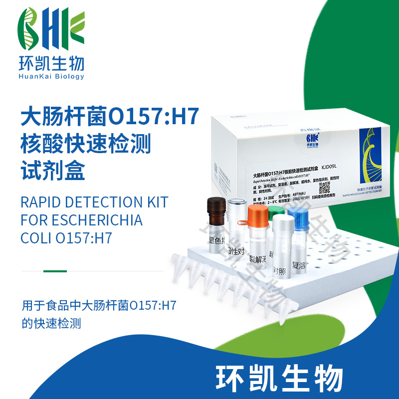 KJD09L 大腸桿菌O157:H7核酸快速檢測(cè)試劑盒(恒溫?zé)晒夥? 24test