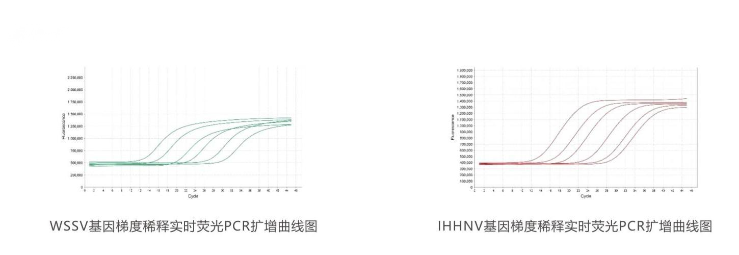 實時熒光PCR檢測試劑盒結(jié)果判讀