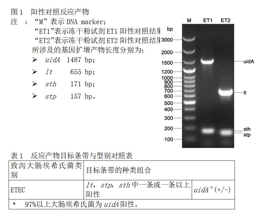 ETEC多重PCR檢測試劑盒結(jié)果判讀