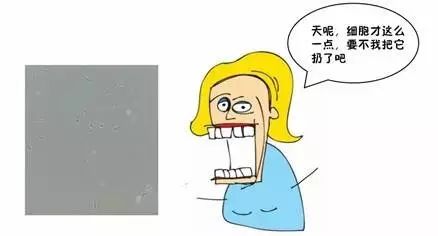 細(xì)胞復(fù)蘇無起色