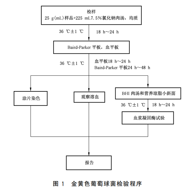 金黃色葡萄球菌定性檢驗(yàn)