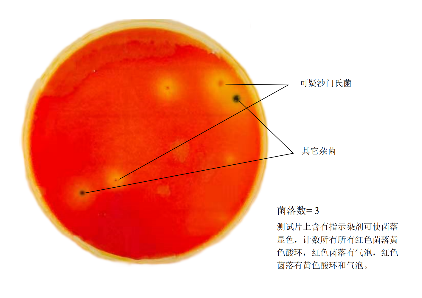 沙門氏菌測(cè)試片判讀手冊(cè)