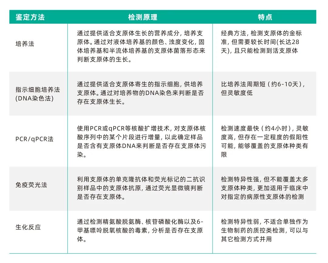 常見的支原體檢測(cè)方法