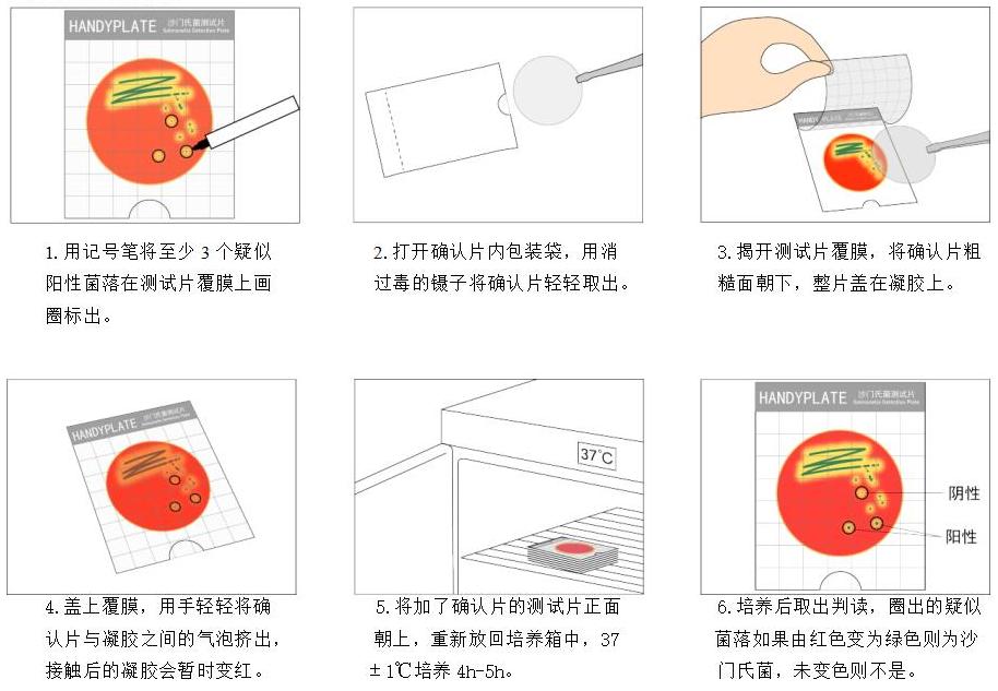 Handy plate®沙門氏菌確認反應片操作步驟